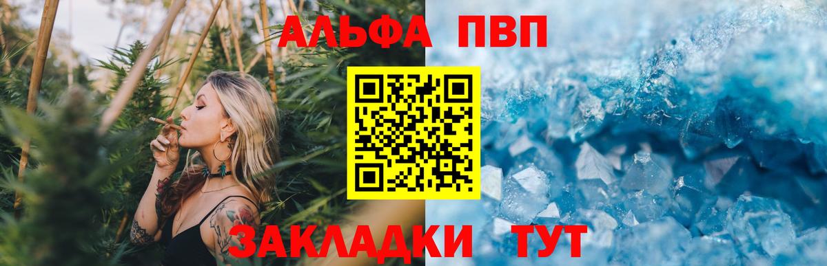 Alpha PVP СК КРИС Моздок