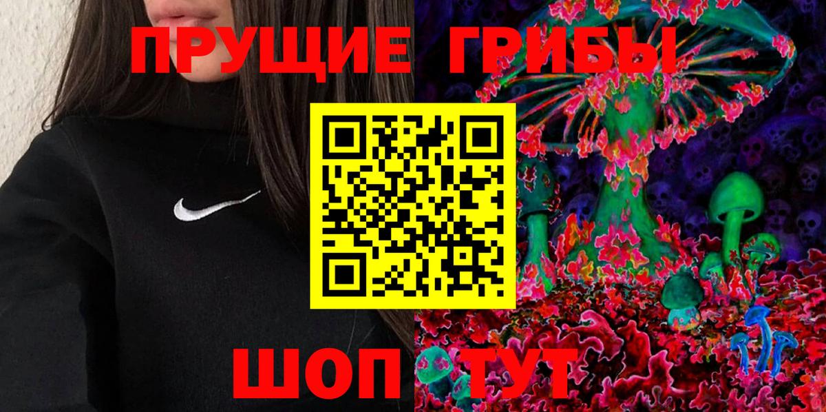 Псилоцибиновые грибы Cubensis Моздок